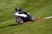 Vintage-motorcycle-club;eventdigitalimages;mallory-park;mallory-park-trackday-photographs;no-limits-trackdays;peter-wileman-photography;trackday-digital-images;trackday-photos;vmcc-festival-1000-bikes-photographs